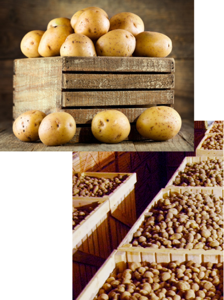 cajas-patatas